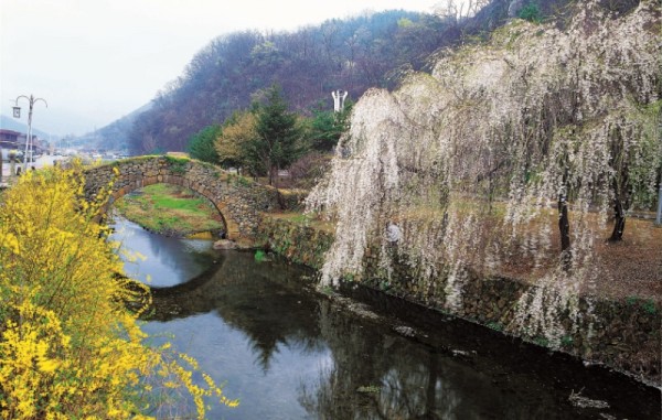 영산만년교(봄)1.jpg