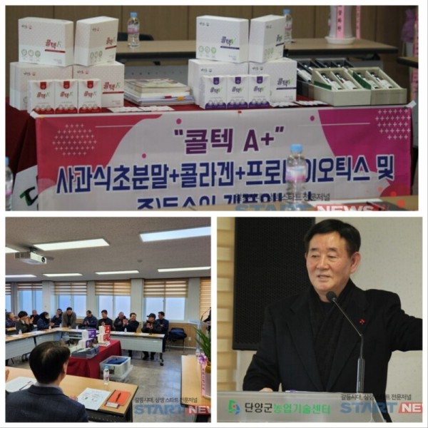 발표회사진1.jpg